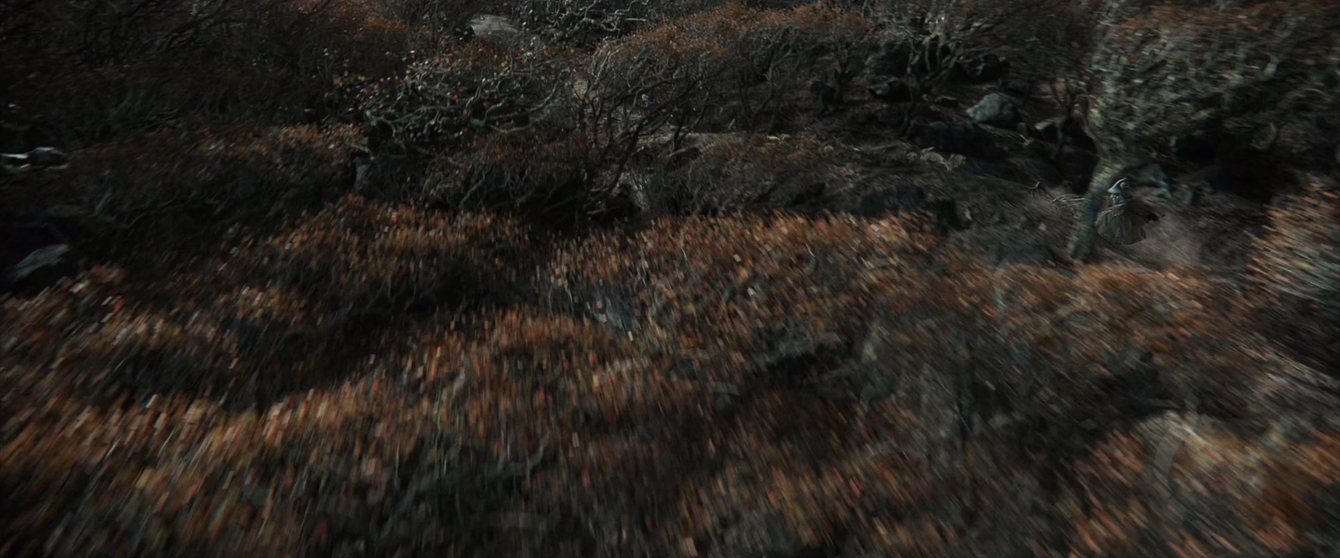 霍比特人2：史矛革之战[国英多音轨/中英字幕].The.Hobbit.The.Desolation.of.Smaug.2013.EE.BluRay.1080p.x265.10bit.2Audio-MiniHD 10.69GB-5.jpeg