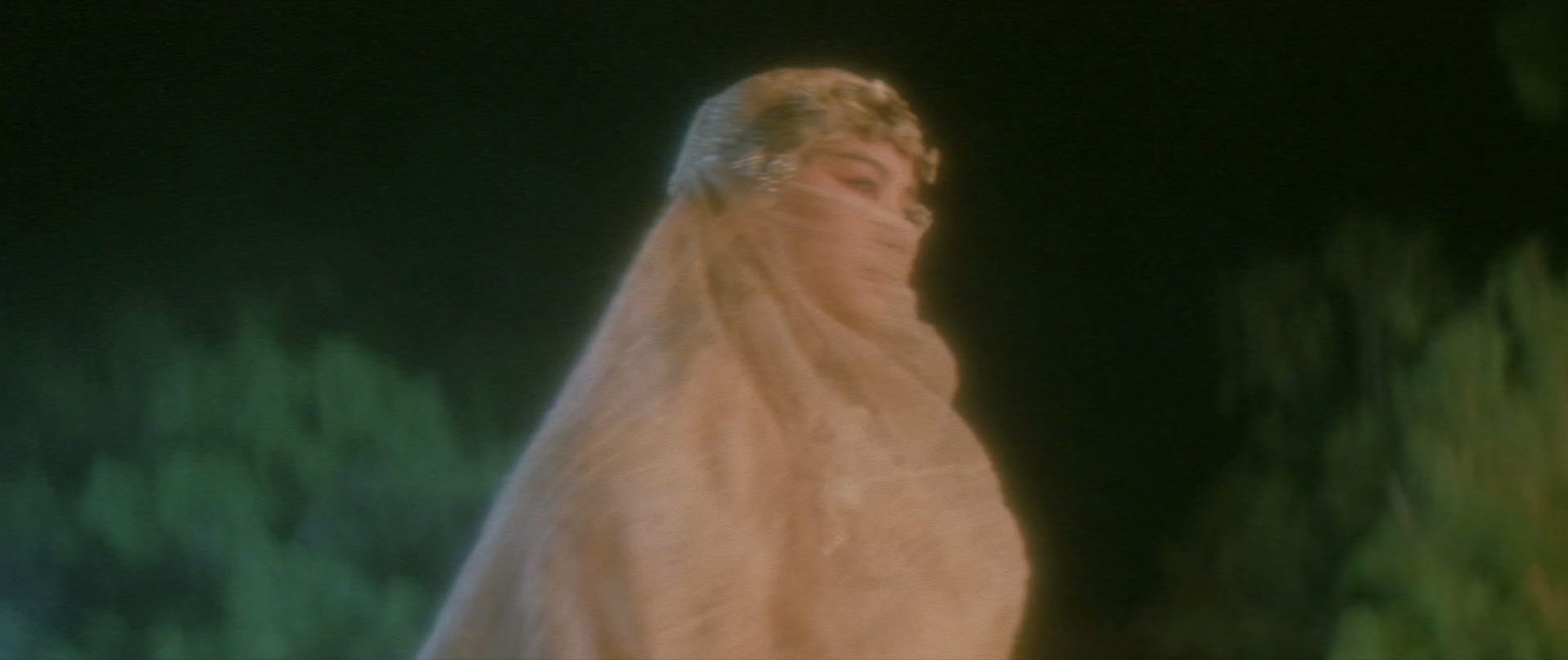 鹤发魔女传[国语音轨/中英字幕].The.Bride.with.White.Hair.1993.BluRay.1080p.x265.10bit.2Audio-MiniHD 5.53GB-3.jpeg