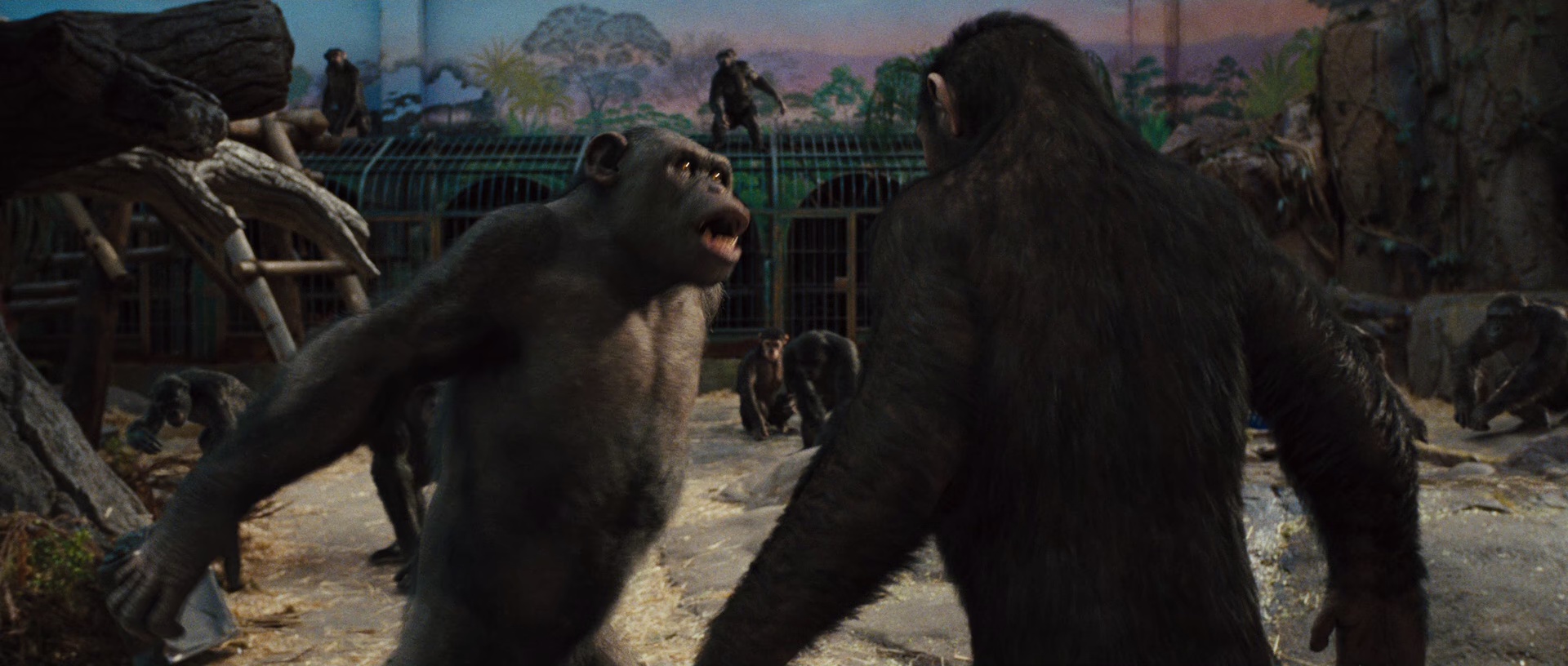 猩球突起[国英多音轨/中英字幕].Rise.of.the.Planet.of.the.Apes.2011.BluRay.1080p.x265.10bit.2Audio-MiniHD 5.45GB-4.jpeg