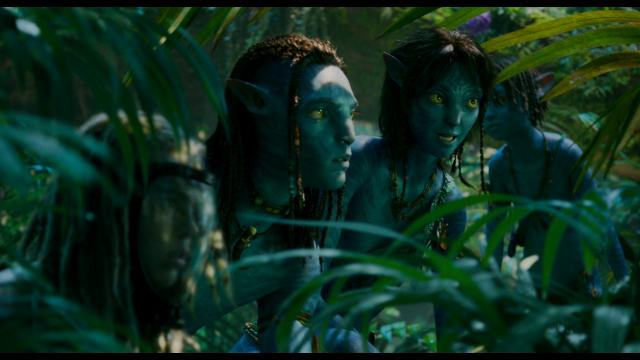 阿凡达：水之道.Avatar.The.Way.of.Water.2022.2160p.MA.WEB-DL.DDP5.1.Atmos.DV.MKV.x265-CM 34.26GB-4.png