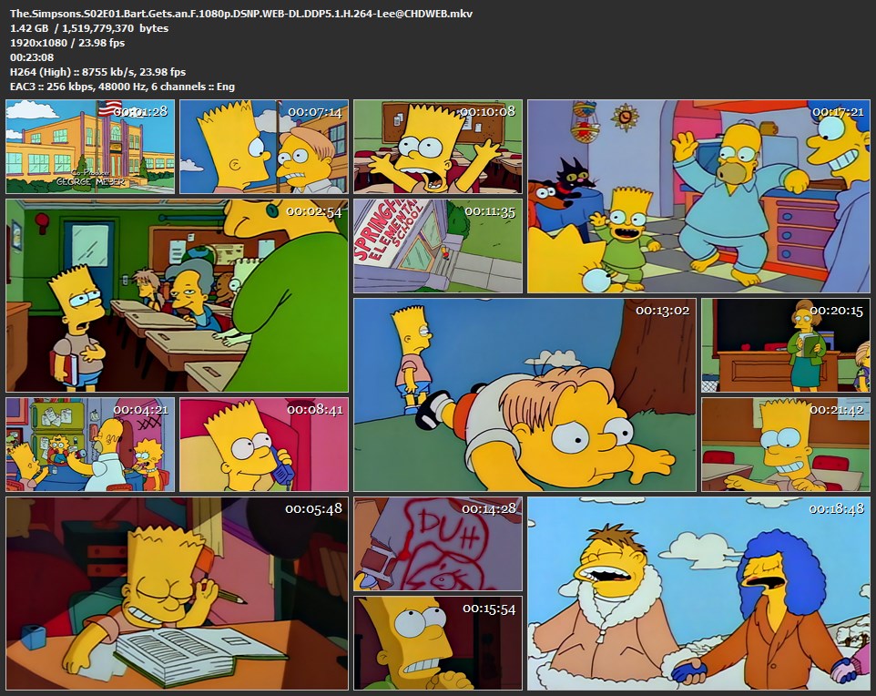 辛普森一家 第2季[全22集][内封简繁中字].The.Simpsons.S02.1990.1080p.DSNP.WEB-DL.DDP5.1.H.264-TAG 31.09GB-2.jpg