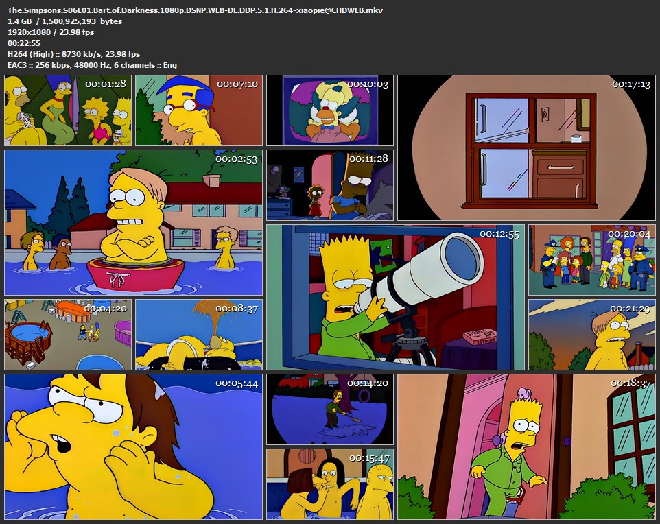 辛普森一家 第6季[全25集][内封简繁中字].The.Simpsons.S06.1994.1080p.DSNP.WEB-DL.DDP.5.1.H.264-TAG 34.56GB-2.jpg