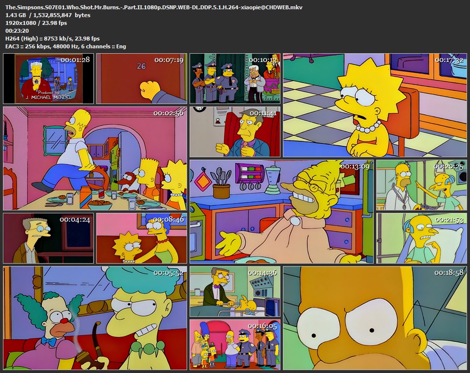 辛普森一家 第7季[全25集][内封简繁中字].The.Simpsons.S07.1995.1080p.DSNP.WEB-DL.DDP.5.1.H.264-TAG 34.93GB-2.jpg