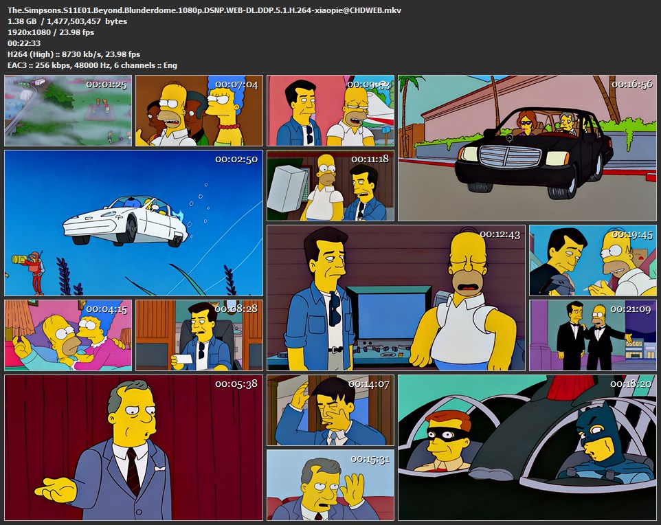 辛普森一家 第11季[全22集][内封简繁中字].The.Simpsons.S11.1999.1080p.DSNP.WEB-DL.DDP.5.1.H.264-TAG 30.31GB-2.jpg